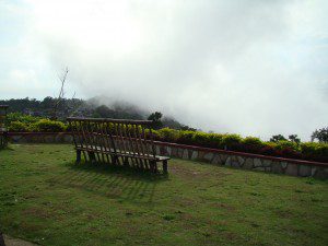 DSC07177