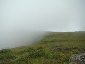 DSC07278