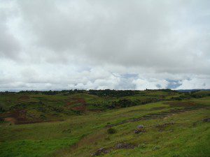 DSC07282