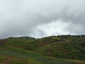 DSC07284