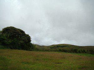 DSC07286