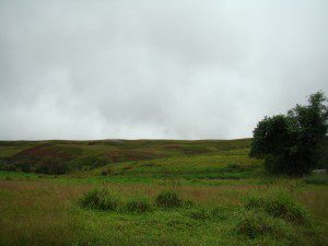 DSC07287