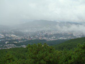 DSC07307